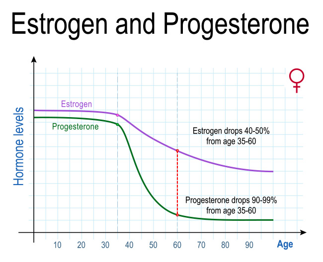 Hormone Levels