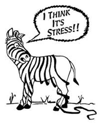Stress Zebra Stripes Fall Off